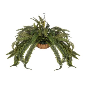 glo-20622-20622_2.webp GLOBOSTAR® ARTIFICIAL GARDEN FERN HANGING PLANT 20622 ΤΕΧΝΗΤΟ ΚΡΕΜΑΣΤΟ ΔΙΑΚΟΣΜΗΤΙΚΟ ΦΥΤΟ Φ