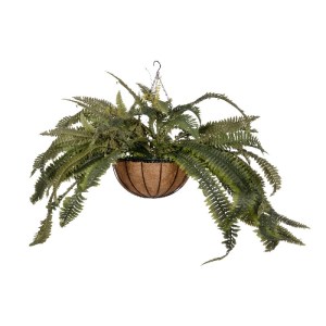 glo-20622-20622_3.webp GLOBOSTAR® ARTIFICIAL GARDEN FERN HANGING PLANT 20622 ΤΕΧΝΗΤΟ ΚΡΕΜΑΣΤΟ ΔΙΑΚΟΣΜΗΤΙΚΟ ΦΥΤΟ Φ