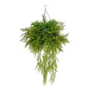 glo-20625-20625_3.webp GLOBOSTAR® ARTIFICIAL GARDEN BOUQUET VARIOUS HANGING PLANT 20625 ΤΕΧΝΗΤΟ ΚΡΕΜΑΣΤΟ ΔΙΑΚΟΣΜΗ