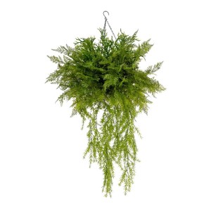 glo-20625-20625_4.webp GLOBOSTAR® ARTIFICIAL GARDEN BOUQUET VARIOUS HANGING PLANT 20625 ΤΕΧΝΗΤΟ ΚΡΕΜΑΣΤΟ ΔΙΑΚΟΣΜΗ
