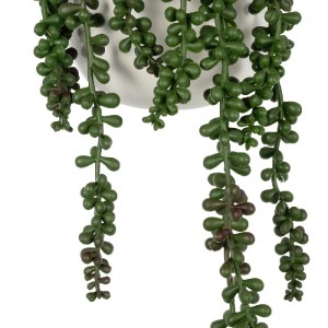 glo-20628-20628_5.webp GLOBOSTAR® ARTIFICIAL GARDEN HANGING LOVERS TEARS 20628 - ΤΕΧΝΗΤΟ ΚΡΕΜΑΣΤΟ ΔΙΑΚΟΣΜΗΤΙΚΟ Φ