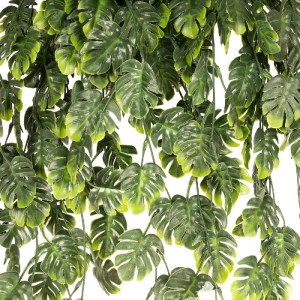 glo-20633-20633_4.webp GLOBOSTAR® ARTIFICIAL GARDEN MONSTERA HANGING PLANT 20633 ΤΕΧΝΗΤΟ ΚΡΕΜΑΣΤΟ ΔΙΑΚΟΣΜΗΤΙΚΟ ΦΥ