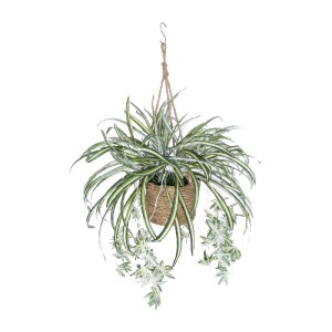 glo-20638-20638_2 GLOBOSTAR® ARTIFICIAL GARDEN CHLOROPHYTUM COMOSUM HANGING PLANT 20638 ΤΕΧΝΗΤΟ ΚΡΕΜΑΣΤΟ ΔΙΑ