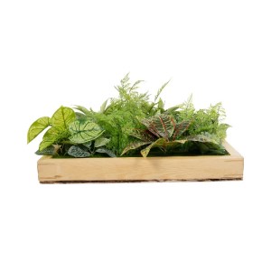 glo-20641-20461_4.webp GLOBOSTAR® ARTIFICIAL GARDEN VARIOUS PLANT 20641 ΤΕΧΝΗΤΟ ΔΙΑΚΟΣΜΗΤΙΚΟ ΦΥΛΛΩΣΙΑΣ ΣΕ ΞΥΛΙΝΟ 