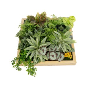 glo-20641-20461_5.webp GLOBOSTAR® ARTIFICIAL GARDEN VARIOUS PLANT 20641 ΤΕΧΝΗΤΟ ΔΙΑΚΟΣΜΗΤΙΚΟ ΦΥΛΛΩΣΙΑΣ ΣΕ ΞΥΛΙΝΟ 