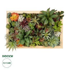 glo-20642-20642_0.webp GLOBOSTAR® ARTIFICIAL GARDEN VARIOUS PLANT 20642 ΤΕΧΝΗΤΟ ΔΙΑΚΟΣΜΗΤΙΚΟ ΦΥΛΛΩΣΙΑΣ ΣΕ ΞΥΛΙΝΟ 