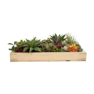 glo-20642-20642_3.webp GLOBOSTAR® ARTIFICIAL GARDEN VARIOUS PLANT 20642 ΤΕΧΝΗΤΟ ΔΙΑΚΟΣΜΗΤΙΚΟ ΦΥΛΛΩΣΙΑΣ ΣΕ ΞΥΛΙΝΟ 