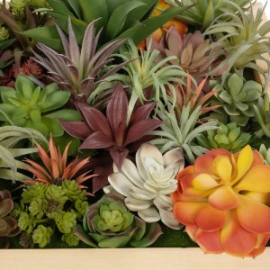 glo-20642-20642_7.webp GLOBOSTAR® ARTIFICIAL GARDEN VARIOUS PLANT 20642 ΤΕΧΝΗΤΟ ΔΙΑΚΟΣΜΗΤΙΚΟ ΦΥΛΛΩΣΙΑΣ ΣΕ ΞΥΛΙΝΟ 
