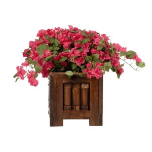 glo-20666-20666_5.webp GLOBOSTAR® ARTIFICIAL GARDEN BOUGANVILLEA PLANT 20666 ΤΕΧΝΗΤΟ ΔΙΑΚΟΣΜΗΤΙΚΟ ΦΥΤΟ ΜΠΟΥΚΑΝΒΙΛ