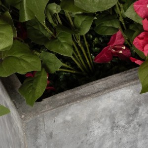 glo-20667-20667_6.webp GLOBOSTAR® ARTIFICIAL GARDEN BOUGANVILLEA PLANT 20666 ΤΕΧΝΗΤΟ ΔΙΑΚΟΣΜΗΤΙΚΟ ΦΥΤΟ ΜΠΟΥΚΑΝΒΙΛ