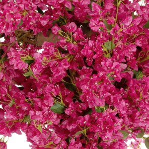 glo-20672-20672_3.webp GLOBOSTAR® ARTIFICIAL GARDEN BOUGAINVILLEA BLOSSOM 20672 ΤΕΧΝΗΤΟ ΔΙΑΚΟΣΜΗΤΙΚΟ ΔΕΝΤΡΟ ΑΝΘΟΣ