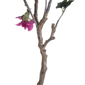 glo-20675-20675_4 GLOBOSTAR® ARTIFICIAL GARDEN BOUGAUVILLEA 20675 ΤΕΧΝΗΤΟ ΔΙΑΚΟΣΜΗΤΙΚΟ ΦΥΤΟ ΜΕ ΑΝΘΗ ΜΠΟΥΚΑΝΒ