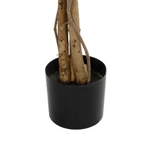 glo-20682-20682_5.webp GLOBOSTAR® ARTIFICIAL GARDEN WISTERIA PURPLE 20682 ΤΕΧΝΗΤΟ ΔΙΑΚΟΣΜΗΤΙΚΟ ΔΕΝΤΡΟ ΜΩΒ ΒΙΣΤΕΡΙ