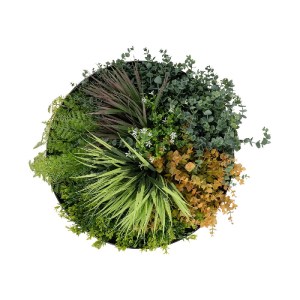 glo-20688-20688_2.webp GLOBOSTAR® ARTIFICIAL GARDEN VARIOUS PLANTS ROUND WALL DISC 20688 ΤΕΧΝΗΤΟ ΔΙΑΚΟΣΜΗΤΙΚΟ ΣΤΡ