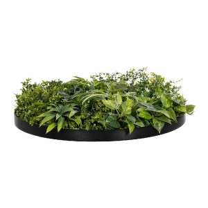 glo-20689-20689_3.webp GLOBOSTAR® ARTIFICIAL GARDEN VARIOUS PLANTS ROUND WALL DISC 20689 ΤΕΧΝΗΤΟ ΔΙΑΚΟΣΜΗΤΙΚΟ ΣΤΡ