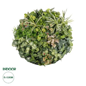 glo-20690-20690_0.webp GLOBOSTAR® ARTIFICIAL GARDEN VARIOUS PLANTS ROUND WALL DISC 20690 ΤΕΧΝΗΤΟ ΔΙΑΚΟΣΜΗΤΙΚΟ ΣΤΡ