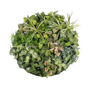 glo-20690-20690_2.webp GLOBOSTAR® ARTIFICIAL GARDEN VARIOUS PLANTS ROUND WALL DISC 20690 ΤΕΧΝΗΤΟ ΔΙΑΚΟΣΜΗΤΙΚΟ ΣΤΡ