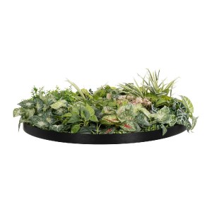glo-20690-20690_3.webp GLOBOSTAR® ARTIFICIAL GARDEN VARIOUS PLANTS ROUND WALL DISC 20690 ΤΕΧΝΗΤΟ ΔΙΑΚΟΣΜΗΤΙΚΟ ΣΤΡ