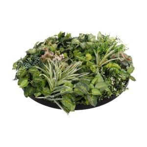 glo-20690-20690_4.webp GLOBOSTAR® ARTIFICIAL GARDEN VARIOUS PLANTS ROUND WALL DISC 20690 ΤΕΧΝΗΤΟ ΔΙΑΚΟΣΜΗΤΙΚΟ ΣΤΡ