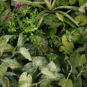 glo-20690-20690_6.webp GLOBOSTAR® ARTIFICIAL GARDEN VARIOUS PLANTS ROUND WALL DISC 20690 ΤΕΧΝΗΤΟ ΔΙΑΚΟΣΜΗΤΙΚΟ ΣΤΡ