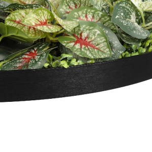 glo-20690-20690_7.webp GLOBOSTAR® ARTIFICIAL GARDEN VARIOUS PLANTS ROUND WALL DISC 20690 ΤΕΧΝΗΤΟ ΔΙΑΚΟΣΜΗΤΙΚΟ ΣΤΡ