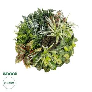 glo-20691-20691_0.webp GLOBOSTAR® ARTIFICIAL GARDEN VARIOUS PLANTS ROUND WALL DISC 20691 ΤΕΧΝΗΤΟ ΔΙΑΚΟΣΜΗΤΙΚΟ ΣΤΡ