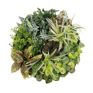glo-20691-20691_2.webp GLOBOSTAR® ARTIFICIAL GARDEN VARIOUS PLANTS ROUND WALL DISC 20691 ΤΕΧΝΗΤΟ ΔΙΑΚΟΣΜΗΤΙΚΟ ΣΤΡ