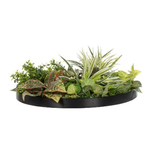 glo-20691-20691_3.webp GLOBOSTAR® ARTIFICIAL GARDEN VARIOUS PLANTS ROUND WALL DISC 20691 ΤΕΧΝΗΤΟ ΔΙΑΚΟΣΜΗΤΙΚΟ ΣΤΡ