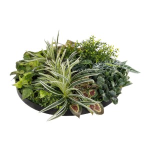 glo-20691-20691_4.webp GLOBOSTAR® ARTIFICIAL GARDEN VARIOUS PLANTS ROUND WALL DISC 20691 ΤΕΧΝΗΤΟ ΔΙΑΚΟΣΜΗΤΙΚΟ ΣΤΡ