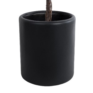 glo-20698-20698_3 GLOBOSTAR® ARTIFICIAL GARDEN PUEBLA 20698 ΔΙΑΚΟΣΜΗΤΙΚΟ ΠΟΛΥΕΣΤΕΡΙΚΟ ΤΣΙΜΕΝΤΕΝΙΟ ΚΑΣΠΩ ΓΛΑΣ