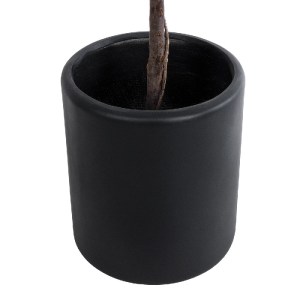 glo-20698-20698_4 GLOBOSTAR® ARTIFICIAL GARDEN PUEBLA 20698 ΔΙΑΚΟΣΜΗΤΙΚΟ ΠΟΛΥΕΣΤΕΡΙΚΟ ΤΣΙΜΕΝΤΕΝΙΟ ΚΑΣΠΩ ΓΛΑΣ