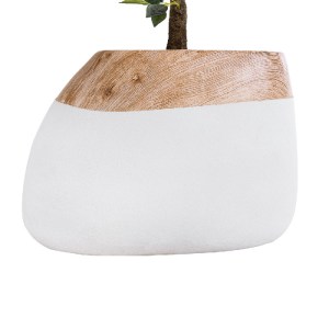 glo-20705-20705_05 GLOBOSTAR® ARTIFICIAL GARDEN PANDORA 20705 ΕΠΙΔΑΠΕΔΙΟ ΠΟΛΥΕΣΤΕΡΙΚΟ ΤΣΙΜΕΝΤΕΝΙΟ ΚΑΣΠΩ ΓΛΑΣΤ