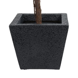 glo-20770-20770_3 GLOBOSTAR® ARTIFICIAL GARDEN KARRASPIO 20770 ΕΠΙΔΑΠΕΔΙΟ ΠΟΛΥΕΣΤΕΡΙΚΟ ΤΣΙΜΕΝΤΕΝΙΟ ΚΑΣΠΩ ΓΛΑ