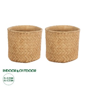 glo-20799-20799_0 GLOBOSTAR® ARTIFICIAL GARDEN MEDRANO 20799 ΣΕΤ 2 ΔΙΑΚΟΣΜΗΤΙΚΑ ΠΟΛΥΕΣΤΕΡΙΚΑ ΤΣΙΜΕΝΤΕΝΙΑ ΚΑΣ