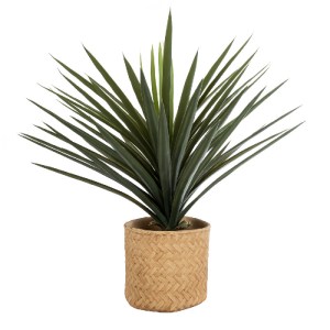 glo-20799-20799_6 GLOBOSTAR® ARTIFICIAL GARDEN MEDRANO 20799 ΣΕΤ 2 ΔΙΑΚΟΣΜΗΤΙΚΑ ΠΟΛΥΕΣΤΕΡΙΚΑ ΤΣΙΜΕΝΤΕΝΙΑ ΚΑΣ