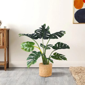 glo-20799-641568_20001_20799 GLOBOSTAR® ARTIFICIAL GARDEN MEDRANO 20799 ΣΕΤ 2 ΔΙΑΚΟΣΜΗΤΙΚΑ ΠΟΛΥΕΣΤΕΡΙΚΑ ΤΣΙΜΕΝΤΕΝΙΑ ΚΑΣ