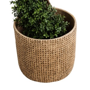 glo-20800-20800_4 GLOBOSTAR® ARTIFICIAL GARDEN GIUSEPPE 20800 ΔΙΑΚΟΣΜΗΤΙΚΟ ΠΟΛΥΕΣΤΕΡΙΚΟ ΤΣΙΜΕΝΤΕΝΙΟ ΚΑΣΠΩ ΓΛ