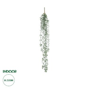 glo-20807-20807_0 GLOBOSTAR® ARTIFICIAL GARDEN HANGING EUCALYPTUS 20807 ΤΕΧΝΗΤΟ ΔΙΑΚΟΣΜΗΤΙΚΟ ΚΡΕΜΑΣΤΟ ΦΥΤΟ Ε