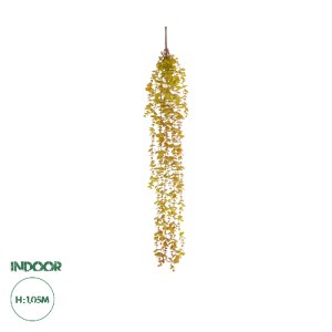 glo-20808-20808_0 GLOBOSTAR® ARTIFICIAL GARDEN HANGING EUCALYPTUS 20808 ΤΕΧΝΗΤΟ ΔΙΑΚΟΣΜΗΤΙΚΟ ΚΡΕΜΑΣΤΟ ΦΥΤΟ Ε