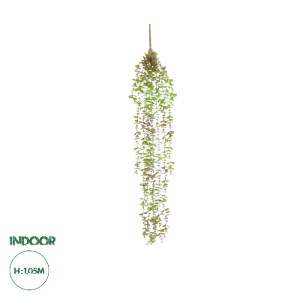 glo-20810-20810_0 GLOBOSTAR® ARTIFICIAL GARDEN HANGING EUCALYPTUS 20810 ΤΕΧΝΗΤΟ ΔΙΑΚΟΣΜΗΤΙΚΟ ΚΡΕΜΑΣΤΟ ΦΥΤΟ Ε