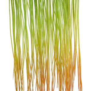 glo-20815-20815_3 GLOBOSTAR® ARTIFICIAL GARDEN HANGING GRASS 20815 ΤΕΧΝΗΤΟ ΔΙΑΚΟΣΜΗΤΙΚΟ ΚΡΕΜΑΣΤΟ ΦΥΤΟ GRASS 