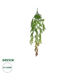 glo-20822-20822_0.webp GLOBOSTAR® ARTIFICIAL GARDEN HANGING CYPRESS 20822 ΤΕΧΝΗΤΟ ΔΙΑΚΟΣΜΗΤΙΚΟ ΚΡΕΜΑΣΤΟ ΦΥΤΟ ΚΥΠΑ