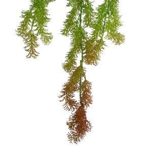 glo-20822-20822_4.webp GLOBOSTAR® ARTIFICIAL GARDEN HANGING CYPRESS 20822 ΤΕΧΝΗΤΟ ΔΙΑΚΟΣΜΗΤΙΚΟ ΚΡΕΜΑΣΤΟ ΦΥΤΟ ΚΥΠΑ