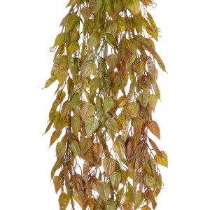 glo-20844-20844_3 GLOBOSTAR® ARTIFICIAL GARDEN HANGING LIMA BEAN 20844 ΤΕΧΝΗΤΟ ΔΙΑΚΟΣΜΗΤΙΚΟ ΚΡΕΜΑΣΤΟ ΦΥΤΟ ΦΑ