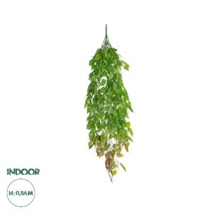 glo-20846-20846_0 GLOBOSTAR® ARTIFICIAL GARDEN HANGING LIMA BEAN 20846 ΤΕΧΝΗΤΟ ΔΙΑΚΟΣΜΗΤΙΚΟ ΚΡΕΜΑΣΤΟ ΦΥΤΟ ΦΑ