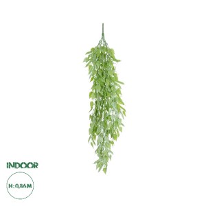 glo-20847-20847_0 GLOBOSTAR® ARTIFICIAL GARDEN HANGING LIMA BEAN 20847 ΤΕΧΝΗΤΟ ΔΙΑΚΟΣΜΗΤΙΚΟ ΚΡΕΜΑΣΤΟ ΦΥΤΟ ΦΑ