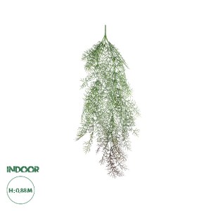glo-20850-20850_0 GLOBOSTAR® ARTIFICIAL GARDEN HANGING FOENICULUM 20850 ΤΕΧΝΗΤΟ ΔΙΑΚΟΣΜΗΤΙΚΟ ΚΡΕΜΑΣΤΟ ΦΥΤΟ Φ