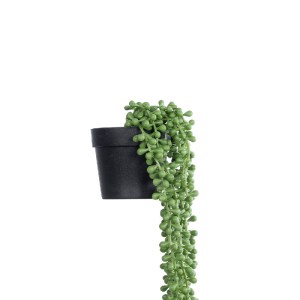 glo-20875-20875_4 GLOBOSTAR® ARTIFICIAL GARDEN HANGING LOVERS TEARS 20875 - ΤΕΧΝΗΤΟ ΚΡΕΜΑΣΤΟ ΔΙΑΚΟΣΜΗΤΙΚΟ Φ