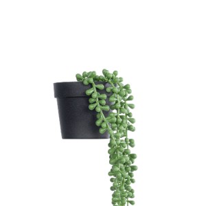 glo-20878-20878_4 GLOBOSTAR® ARTIFICIAL GARDEN HANGING LOVERS TEARS 20878 - ΤΕΧΝΗΤΟ ΚΡΕΜΑΣΤΟ ΔΙΑΚΟΣΜΗΤΙΚΟ Φ