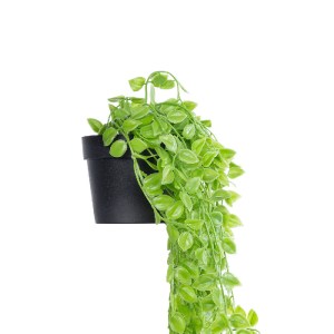 glo-20880-20880_4 GLOBOSTAR® ARTIFICIAL GARDEN HANGING PEACH LEAF 20880 - ΤΕΧΝΗΤΟ ΚΡΕΜΑΣΤΟ ΔΙΑΚΟΣΜΗΤΙΚΟ ΦΥΤΟ